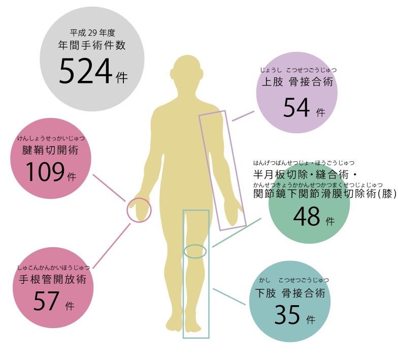 平成29年度 手術実績